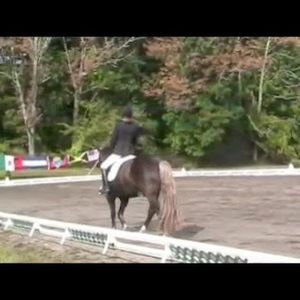 Meet your Posher, Bill